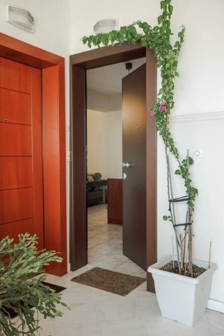 Tommy'S Family Apartment Катеріні Екстер'єр фото